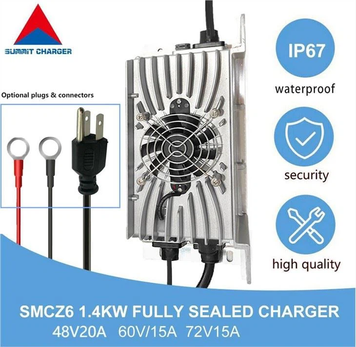 Lithium Iron Phosphate LiFePO4 Charger